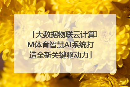 大数据物联云计算IM体育智慧AI系统打造全新关键驱动力